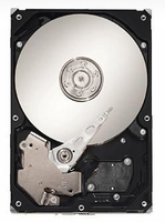 MS-ST375033NS