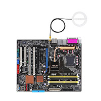 "P5WDG2-WS PROFESSION" ASUS