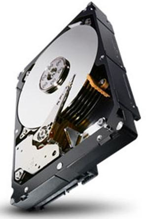 ST1000NM0011-RFB Seagate