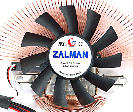 81701 Zalman