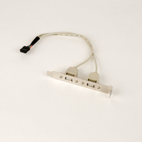 IGG311691