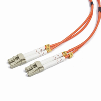 IGG311585