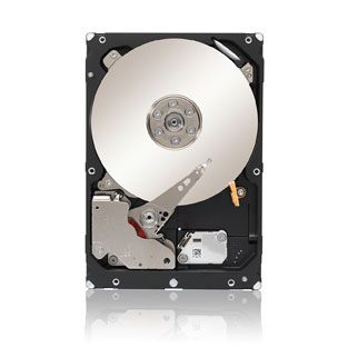 ST33000650NS-RFB Seagate