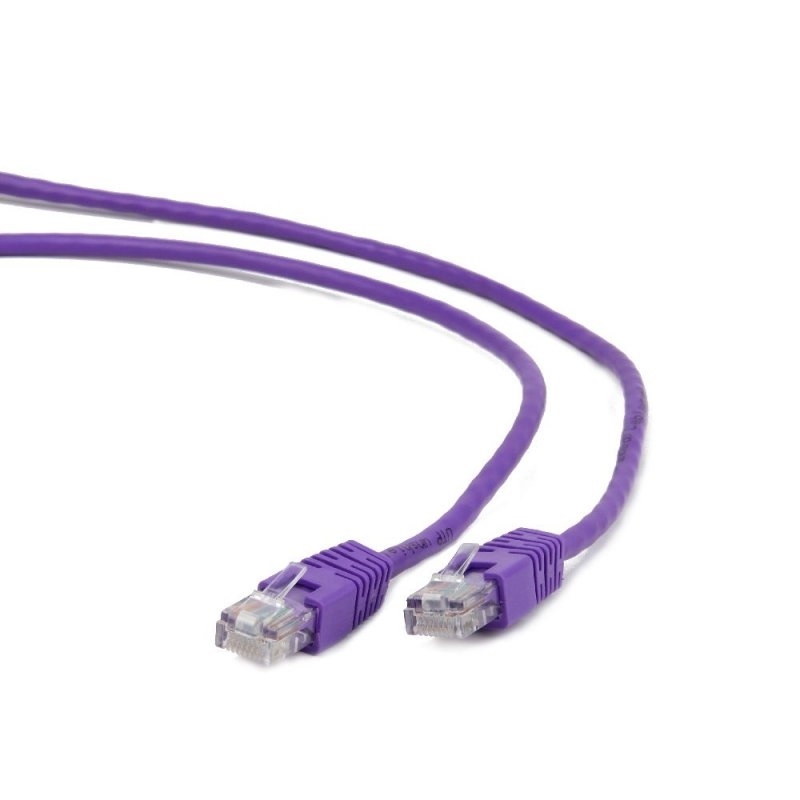 IGG310564 iggual