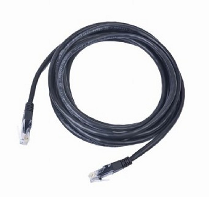 IGG311059 iggual