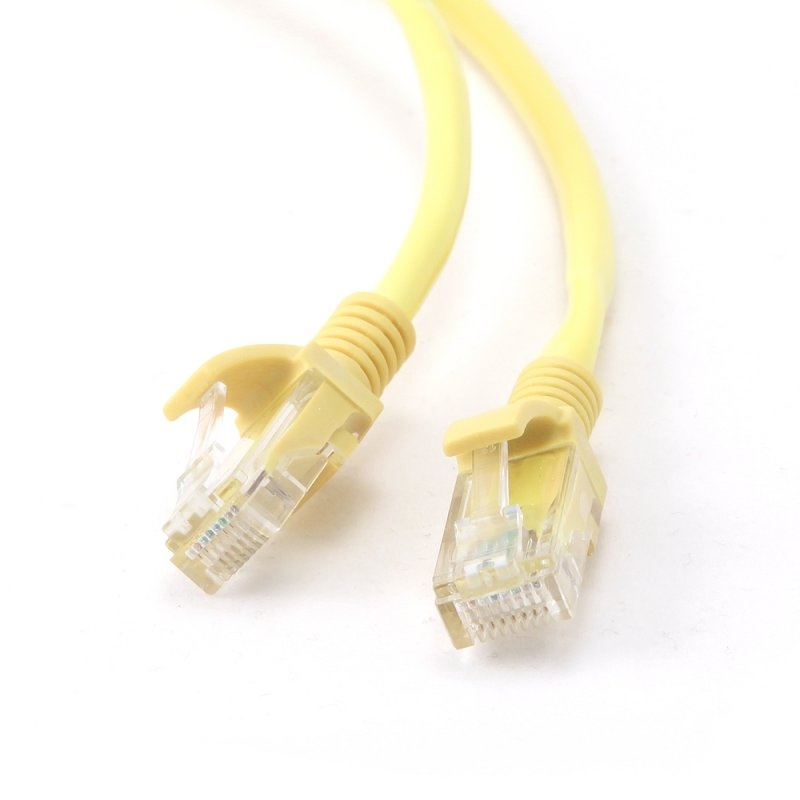 IGG310649 iggual