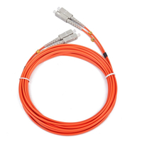 IGG311516