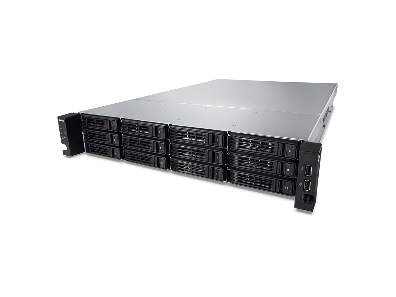 TS-2RZH120T12DEU Buffalo
