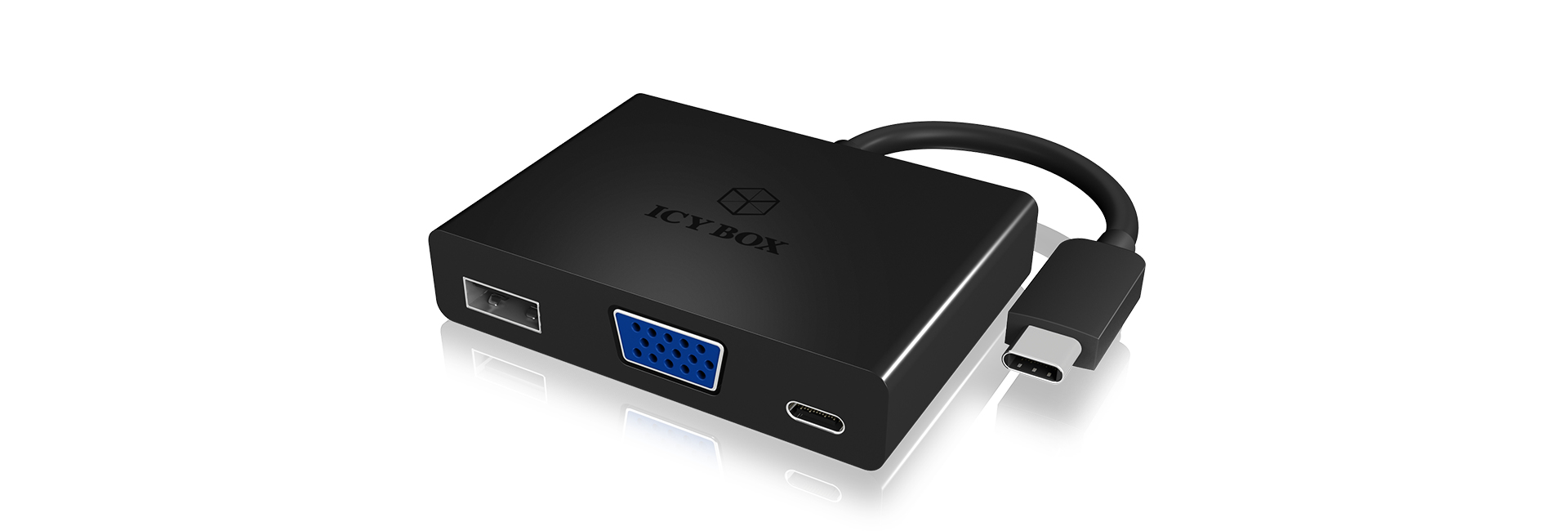 IB-DK4032-CPD ICY BOX