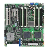 DSBF-D12