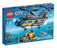 60093
