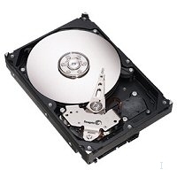 ST3500320NS-20PK Seagate