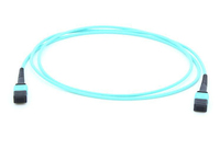 FIB996005