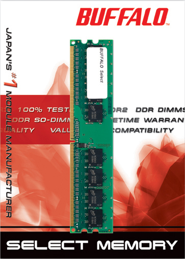 DD4003-1G/BR Buffalo