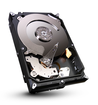 ST3160021AS Seagate