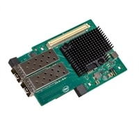 555-BDPG DELL