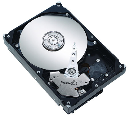 ST31000640SS Seagate