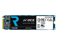 RVD400-M22280-256G