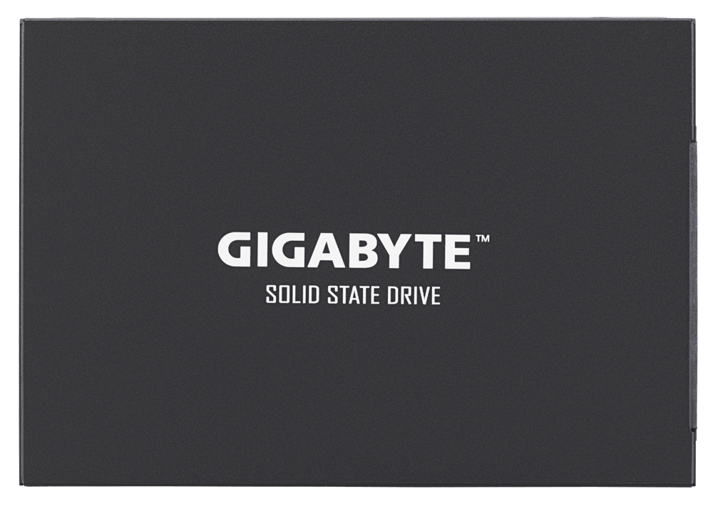 GP-GSTFS30256GTTD GIGABYTE