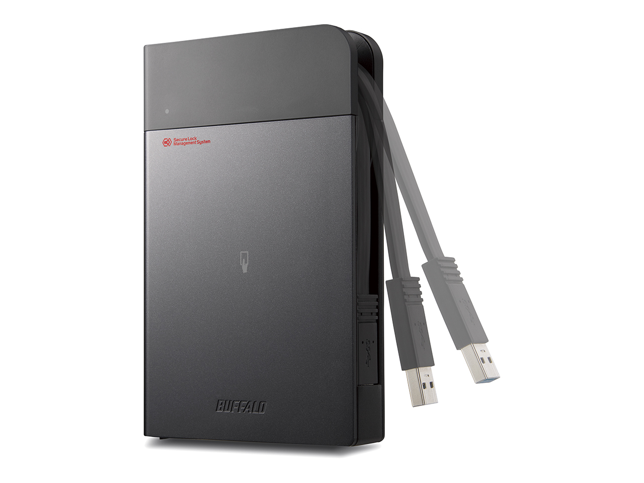 HDS-PZN1.0U3TV3 Buffalo