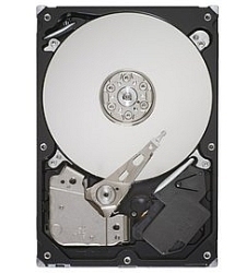 ST313000340NS Seagate