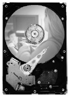 ST3160215SCE-25PK Seagate