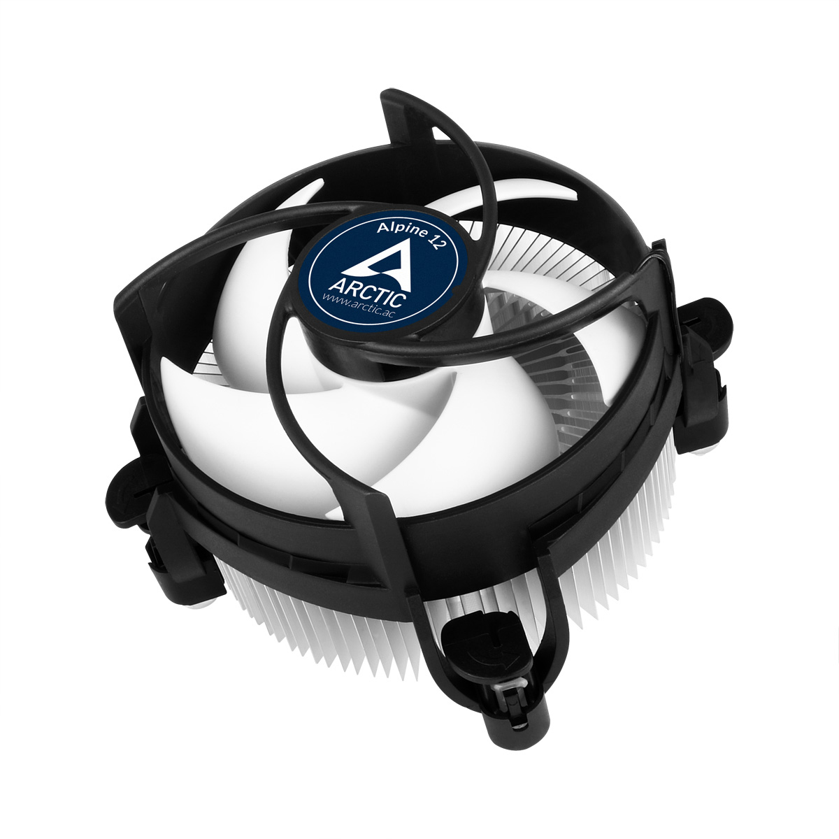 ACALP00027A ARCTIC