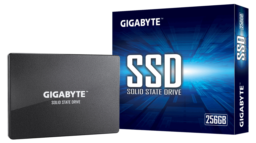 GP-GSTFS31256GTND GIGABYTE