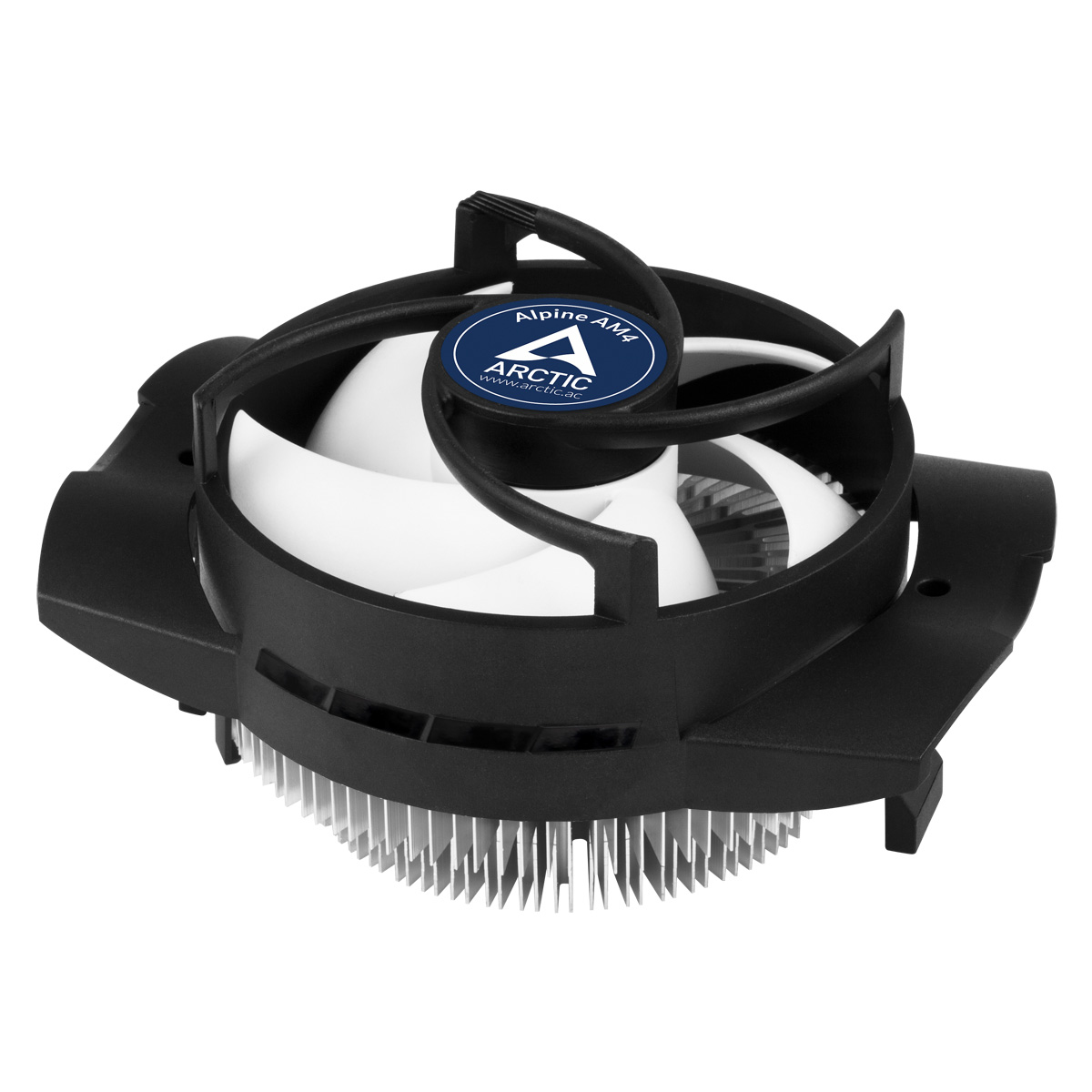 ACALP00025A ARCTIC