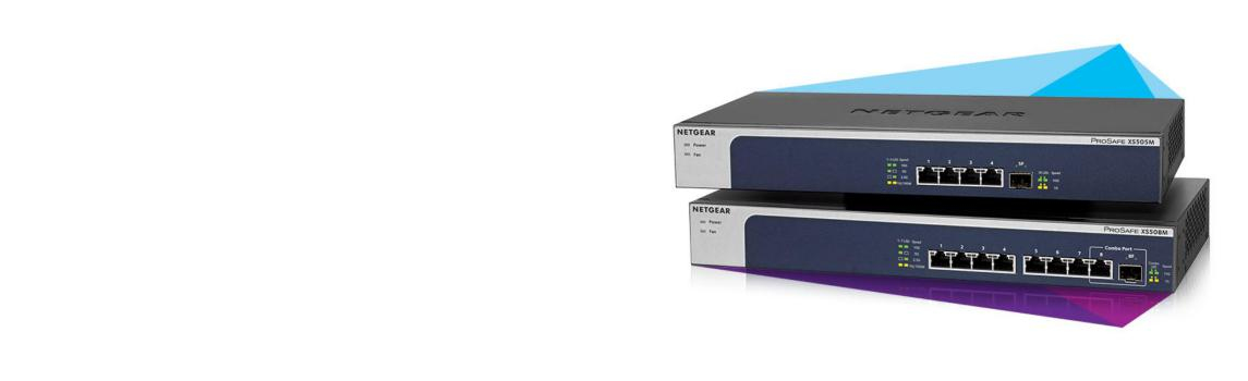 XS505M-100NAS NETGEAR