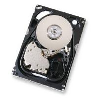 DELL-300S/10-F14 Origin Storage