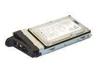 DELL-300S/10-68 Origin Storage