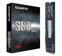 "GP-GSM2NE8256GNTD M2PCIE_256"