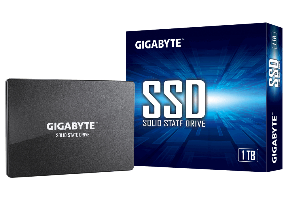GP-GSTFS31100TNTD GIGABYTE