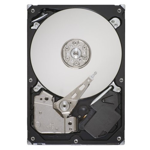 ST3160813AS Seagate
