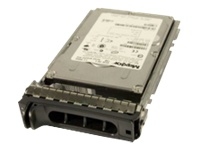DELL-300S/10-S10 Origin Storage