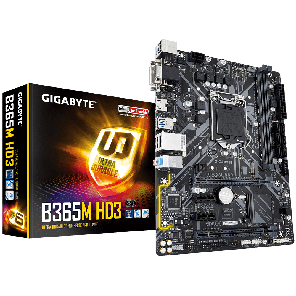 "B365M HD3" GIGABYTE