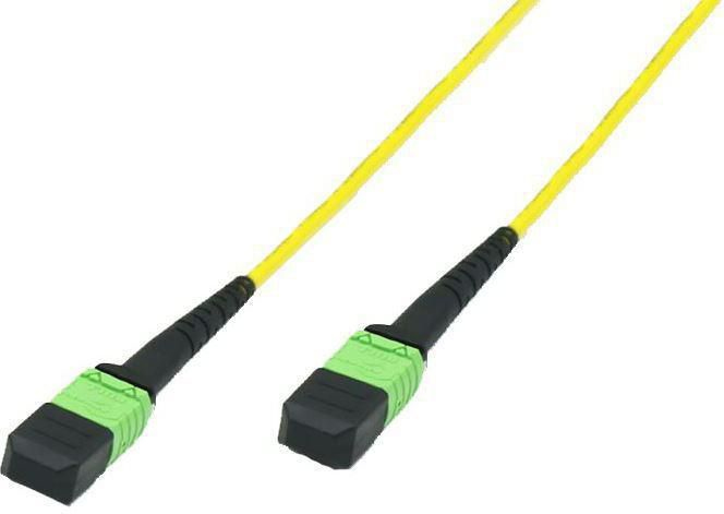 FIB998020MTP Microconnect