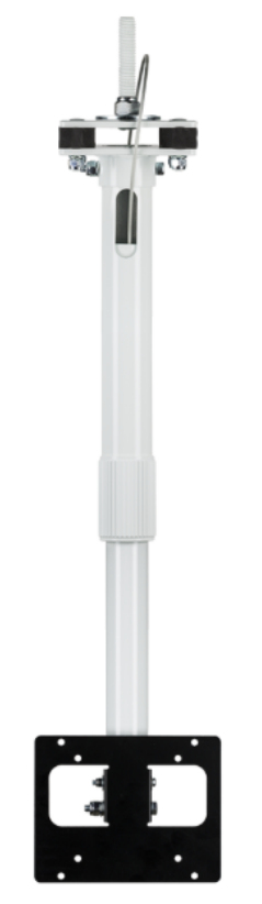 BR-000237-02 Zebra