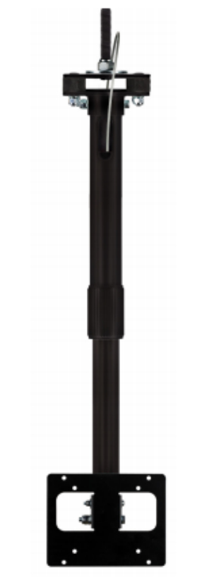 BR-000238-03 Zebra