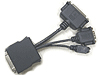 CA.A3106.001 Acer