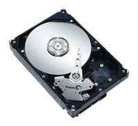 ST3300620AS Seagate