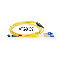 BOC-8MPOF-4LCOS2-1M