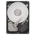 ST3160813AS-25PK Seagate