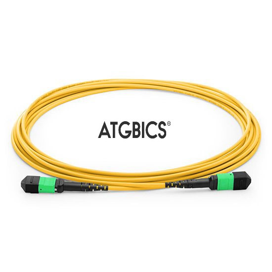 TCAB-24MPOFF-OS2-2M ATGBICS
