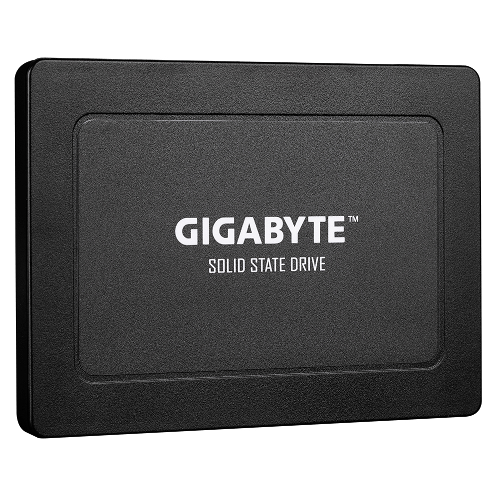 GP-GSTFS31960GNTD-V GIGABYTE