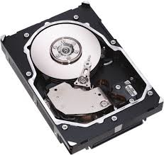 ST3300655LC-20PK Seagate