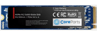CPSSD-M.2NVMEHE-256GB