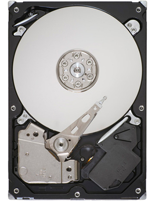 ST3500320NS-304 Seagate