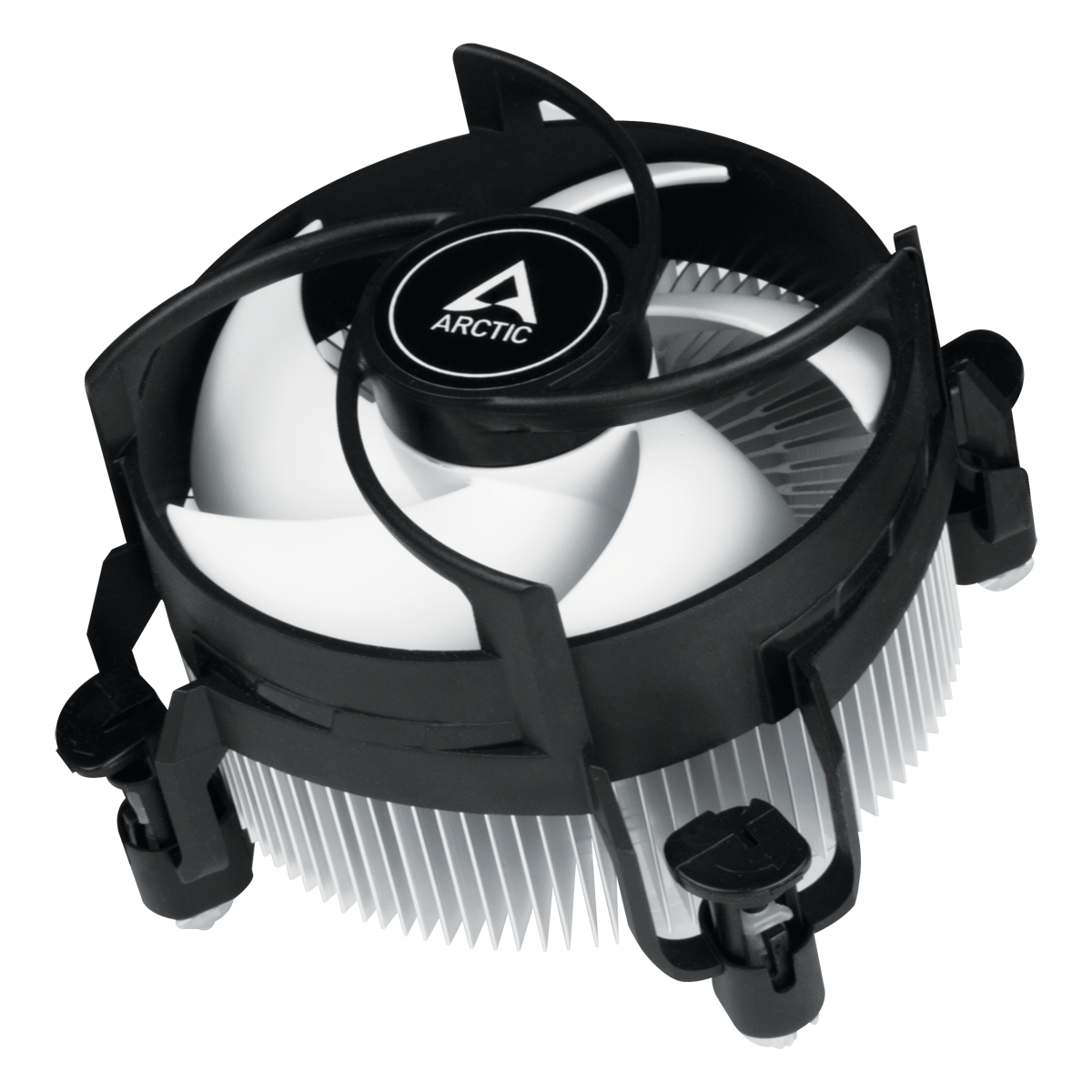 ACALP00040A ARCTIC